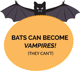 bats become vampires - they can't