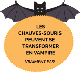 bats become vampires - they can't