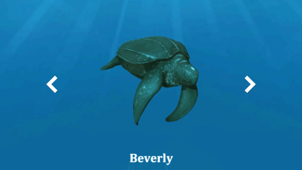 Animated gif of Rev It Bev leatherback turtle