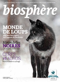 Biosphere November December 2012 magazine cover