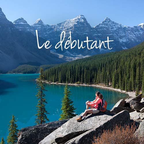 The new camper banner