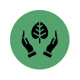 leaf hand icon