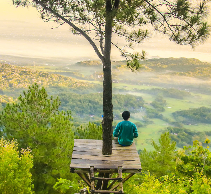 tree house in forest