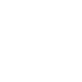 whale icon