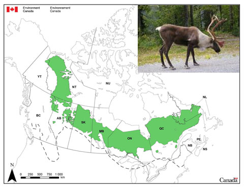 Canadian Wildlife Federation: Species At Risk Act