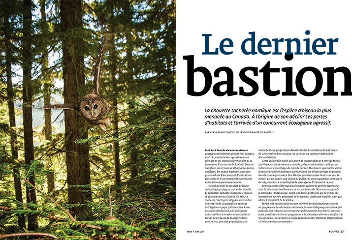 Le dernier bastion