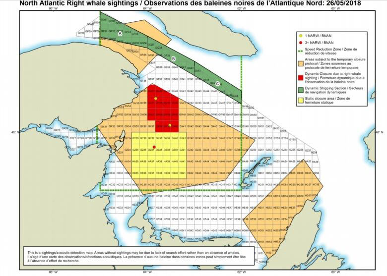 DFO right whale map
