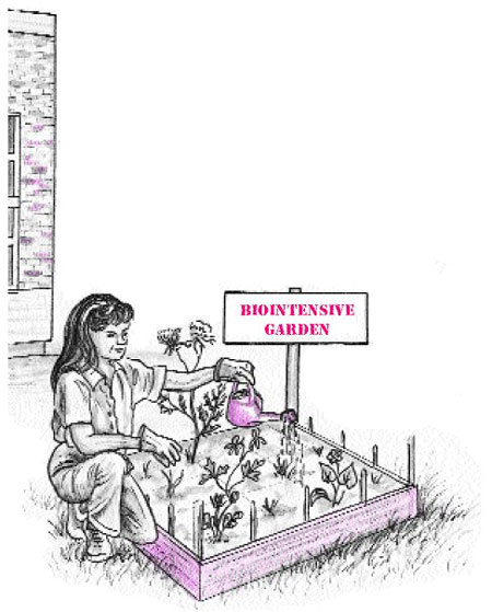 Girl tending to a box garden