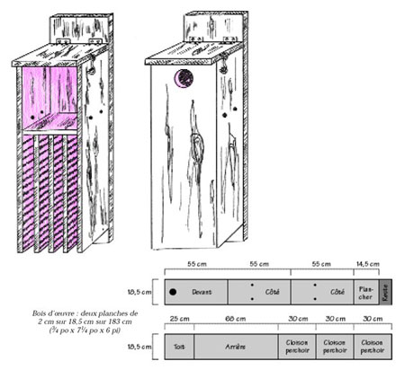 Combination bat and bird box diagram