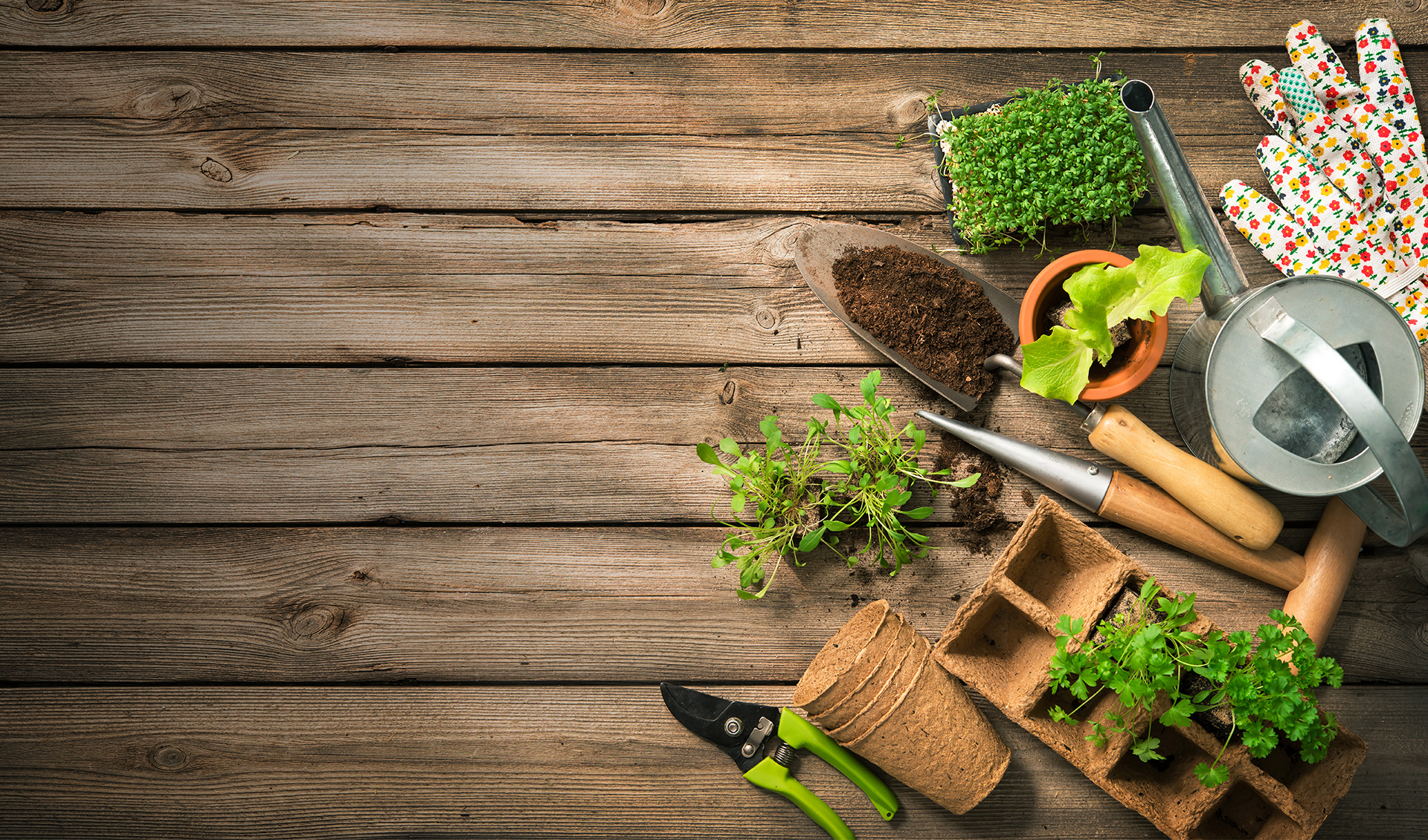 gardening tools plants