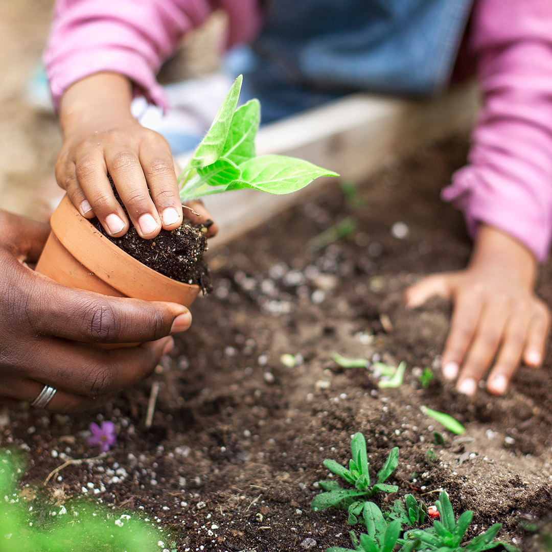 family gardening