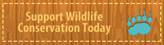 Support Wildlife Conservation Today