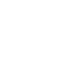 bee icon