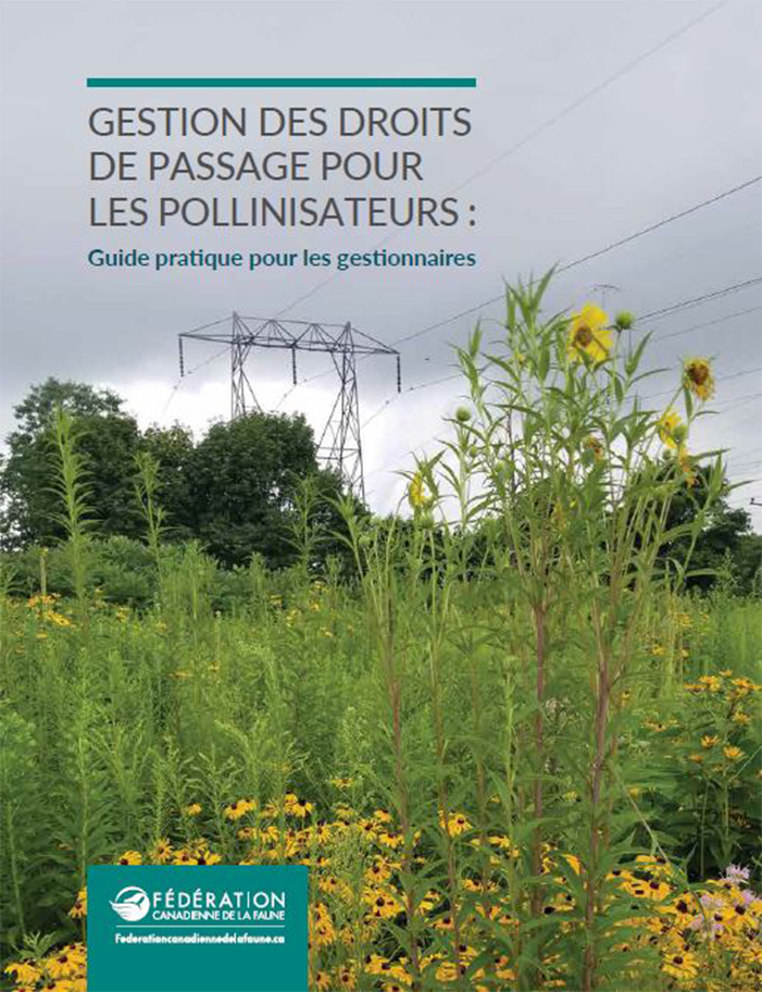 bee on yellow flower