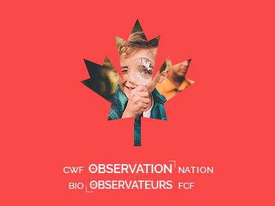 observation nation logo
