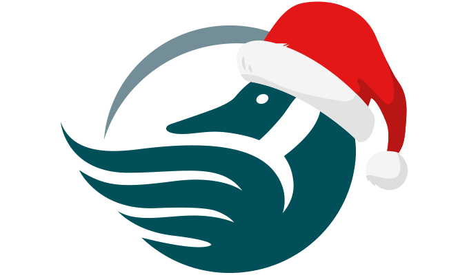 santa hat