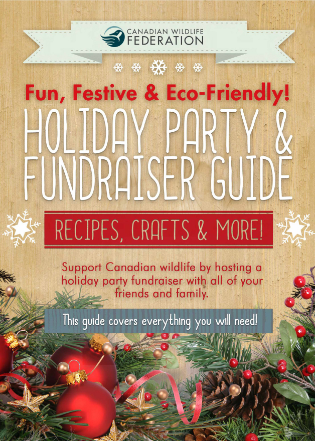 holiday guide