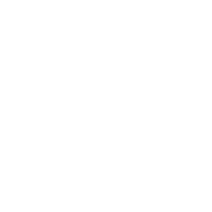 fish net icon