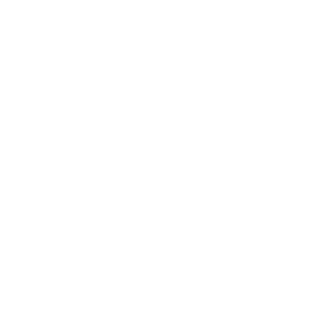 fish net icon