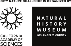 California Academy of Sciences and Natural HIstory Museum