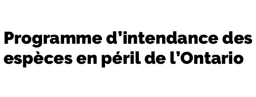 Programme d’intendance des espèces en péril de l’Ontario