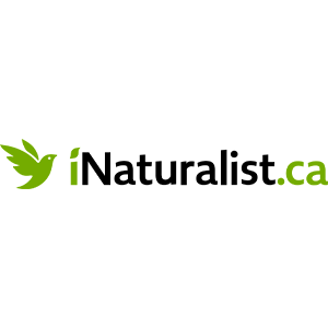 Partner Spotlight