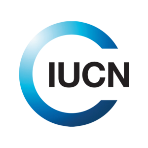 Partner Spotlight