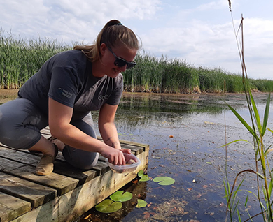 ccc participant doing research