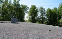 Up on the roof
