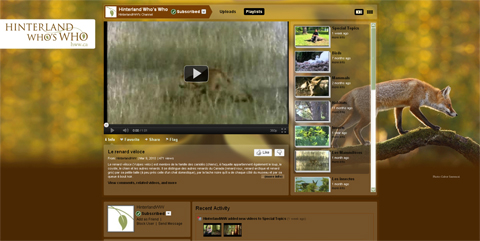 Screenshot of YouTube video channel