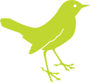 Birds icon