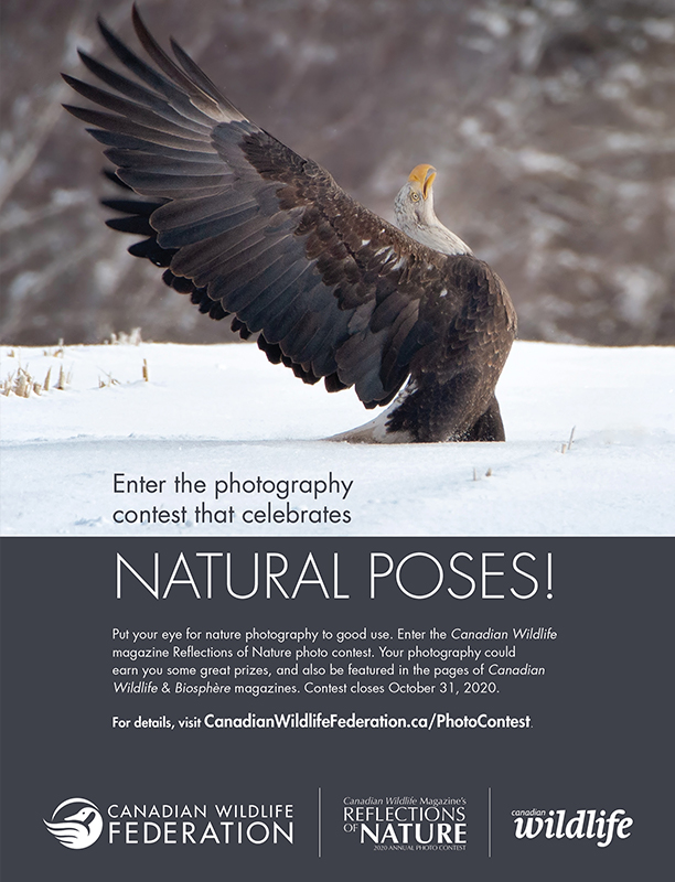 magazine cover