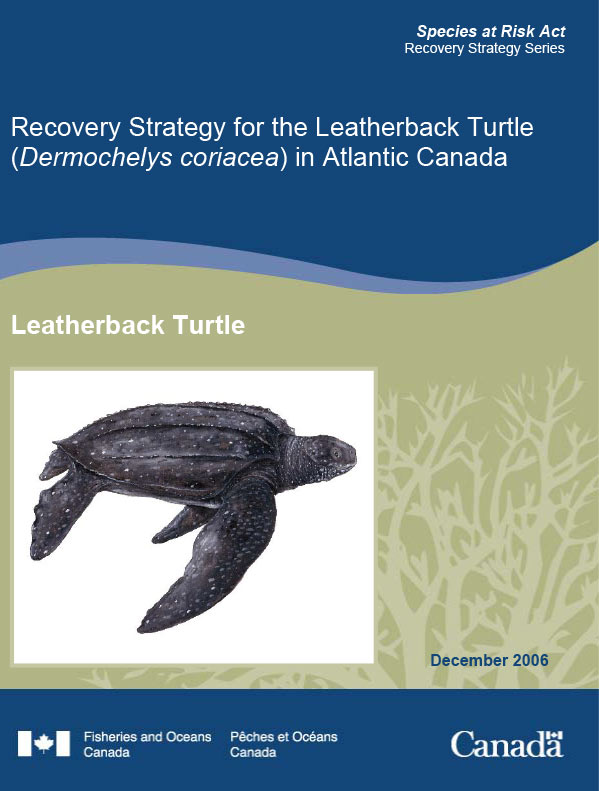 Leatherback turtle recovery plan poster