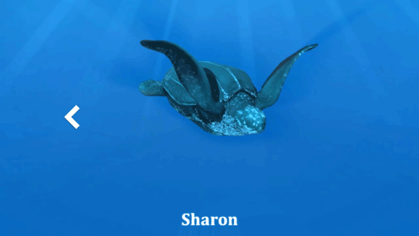 Animated gif of Sharon the leatherback turtle