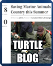 Turtle Blog button