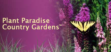 Plant Paradise Country Gardens Header