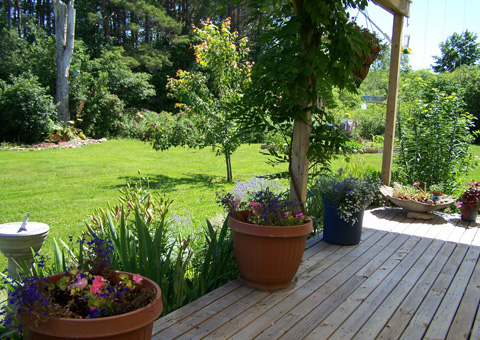 Diana Ackroyd, NS