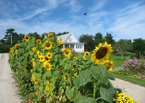 Brenda and Gregory Hiltz, NS (photo: Linda Mason)