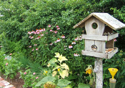 Brenda and Gregory Hiltz, NS