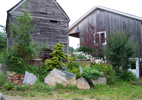 Cheryl den Hertog , NS (photo; Diana Ackroyd)