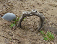 fairy garden playground 668 - 200px
