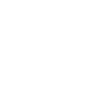 fish icon