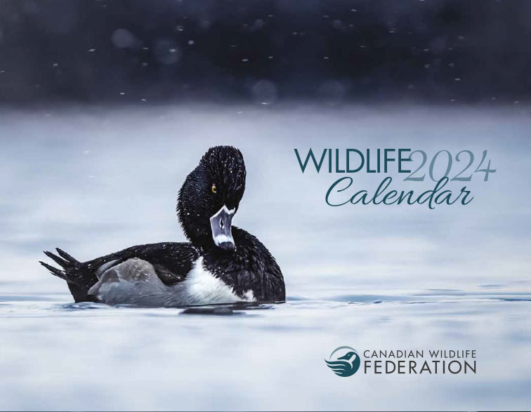 [Canadian Wildlife Federation] Free 2023 Calendar Forums