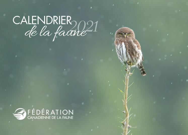 calendrier 2021