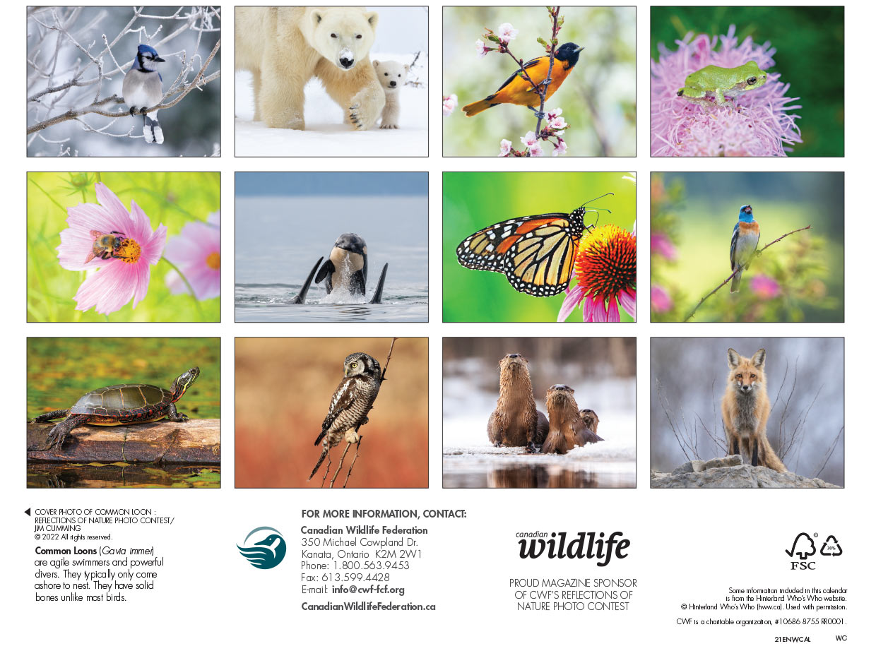 Canadian Wildlife Federation: The 2021 CWF Wildlife Calendar