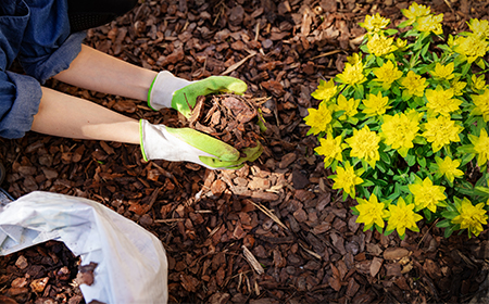 mulch gardening 