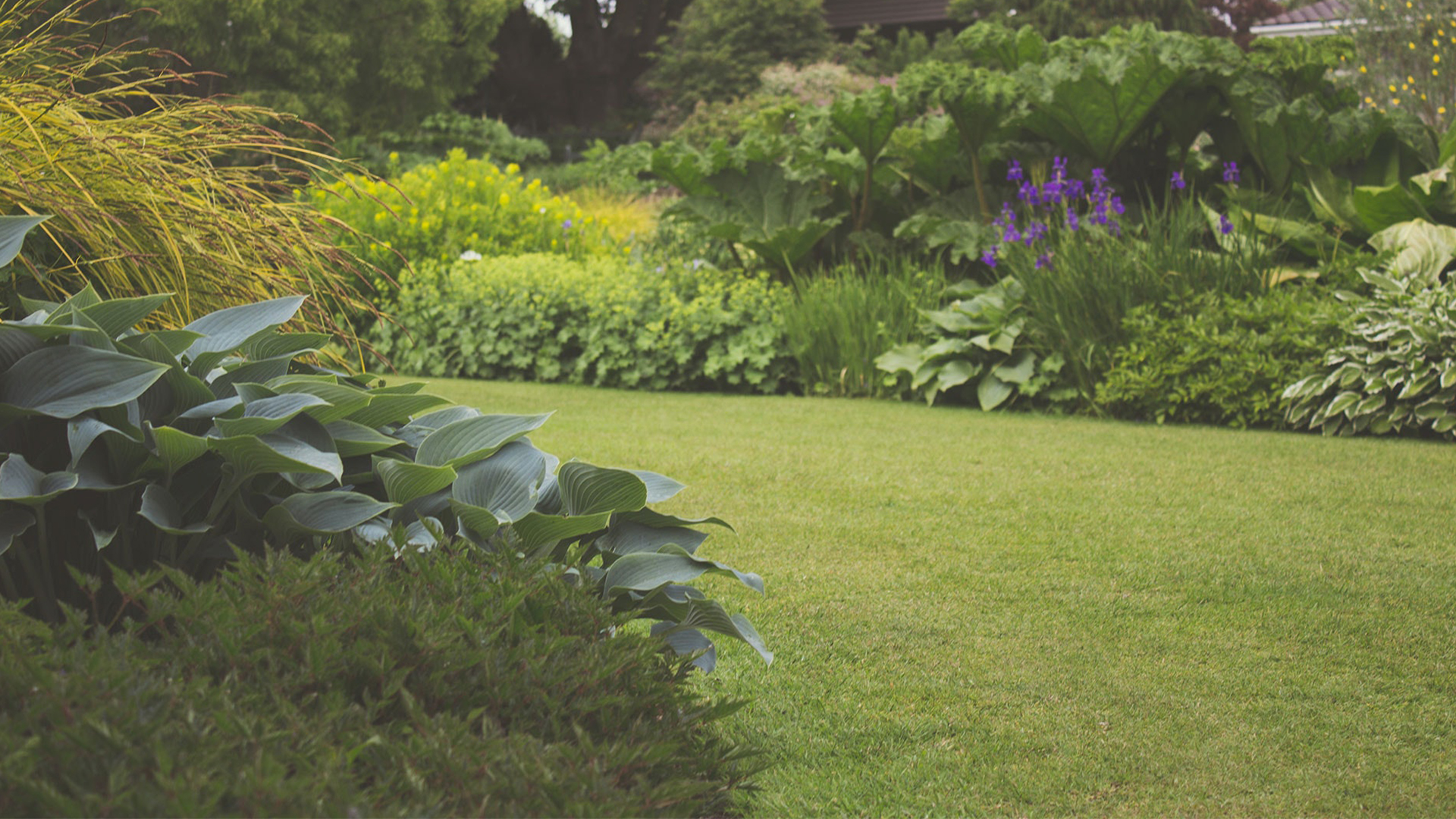 garden with flowers and bushes