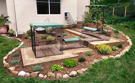 outdoor space for cat