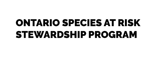 Ontario Species at Risk Stewardship Program