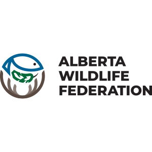 Pleins feux sur les commanditaires